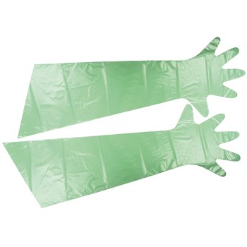 Protective Gloves
