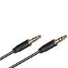 Jack Cable