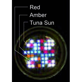 Kessil 360XE Tuna Sun