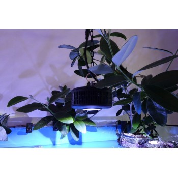 A360XE Tuna Blue