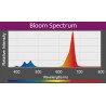 A360X Refugium Light