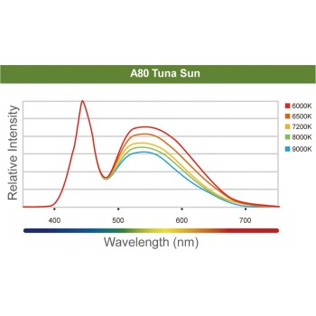 A80 Tuna Sun