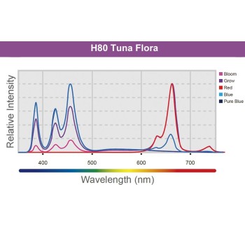 H80 Tuna Flora